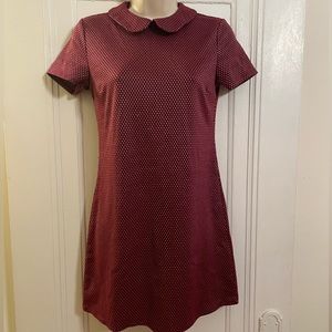Retro Peter Pan Collar F21 Dress